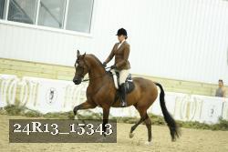 24R13_15343 thumbnail