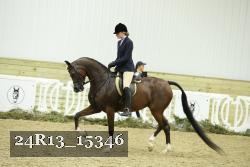24R13_15346 thumbnail