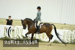 24R13_15348 thumbnail