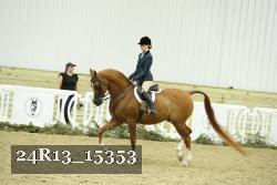 24R13_15353 thumbnail