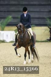24R13_15366 thumbnail