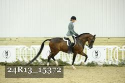 24R13_15372 thumbnail