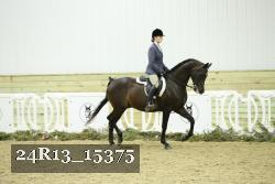 24R13_15375 thumbnail