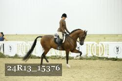 24R13_15376 thumbnail