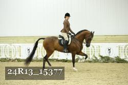 24R13_15377 thumbnail