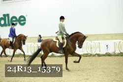 24R13_15379 thumbnail