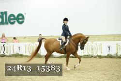 24R13_15383 thumbnail