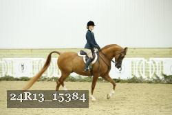 24R13_15384 thumbnail