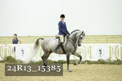 24R13_15385 thumbnail