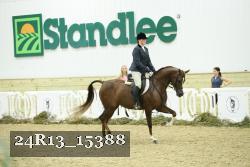 24R13_15388 thumbnail