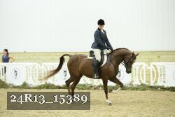 24R13_15389 thumbnail