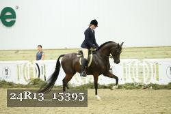24R13_15395 thumbnail