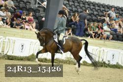 24R13_15426 thumbnail