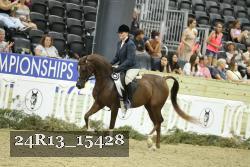 24R13_15428 thumbnail