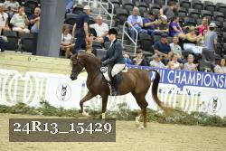 24R13_15429 thumbnail