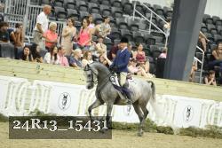 24R13_15431 thumbnail