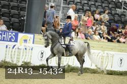 24R13_15432 thumbnail