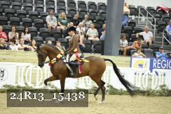 24R13_15438 thumbnail