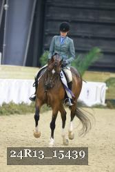 24R13_15439 thumbnail