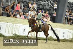 24R13_15440 thumbnail