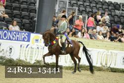 24R13_15441 thumbnail