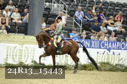 24R13_15443 thumbnail