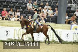 24R13_15444 thumbnail