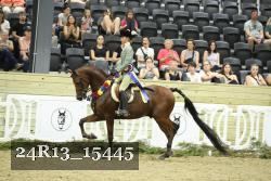 24R13_15445 thumbnail