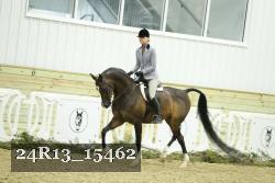 24R13_15462 thumbnail