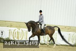 24R13_15463 thumbnail