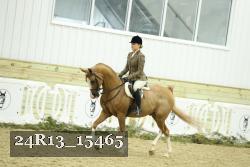 24R13_15465 thumbnail
