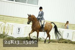 24R13_15467 thumbnail
