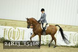 24R13_15468 thumbnail