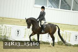 24R13_15469 thumbnail