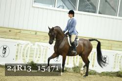 24R13_15471 thumbnail