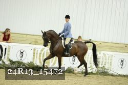 24R13_15472 thumbnail