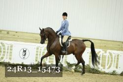 24R13_15473 thumbnail