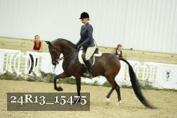 24R13_15475 thumbnail