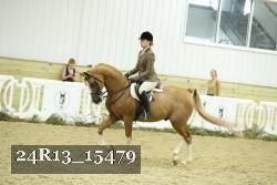 24R13_15479 thumbnail