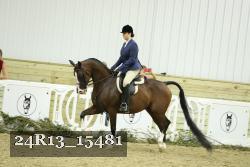 24R13_15481 thumbnail