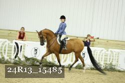 24R13_15485 thumbnail
