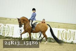 24R13_15486 thumbnail