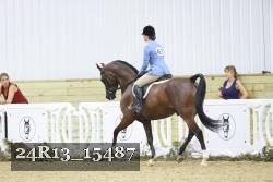 24R13_15487 thumbnail