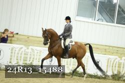 24R13_15488 thumbnail