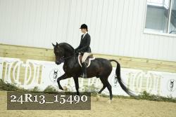 24R13_15490 thumbnail