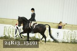 24R13_15491 thumbnail