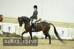 24R13_15492 thumbnail