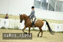 24R13_15494 thumbnail