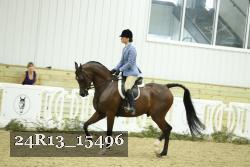 24R13_15496 thumbnail