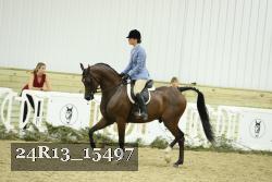 24R13_15497 thumbnail